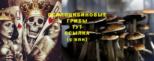 гашик Алексеевка