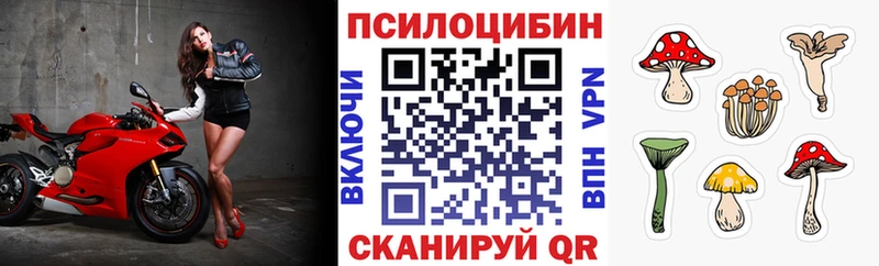 закладка  Мураши  Галлюциногенные грибы мицелий 
